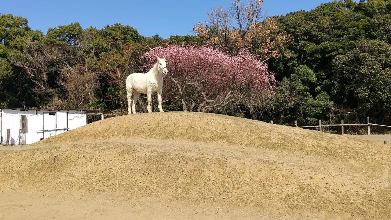 海辺のゲストハウスーぽかぽか村ー Ise Exterior photo